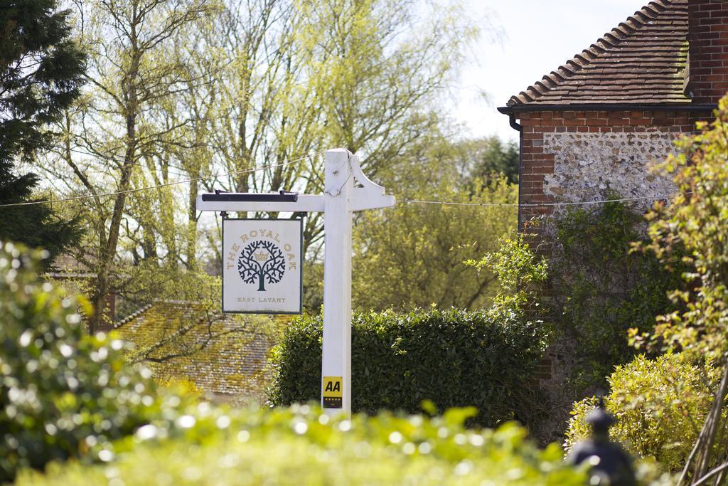 The Royal Oak Inn Chichester Exterior photo