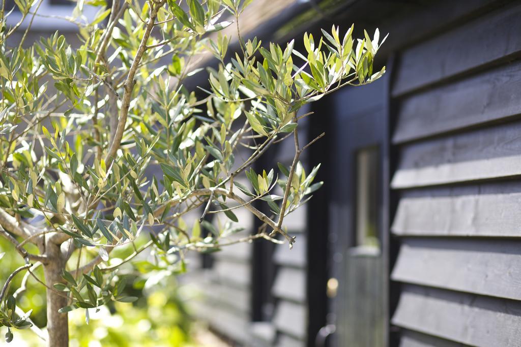 The Royal Oak Inn Chichester Exterior photo