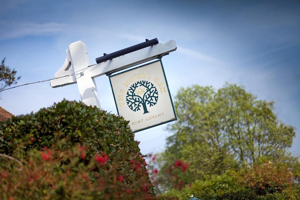 The Royal Oak Inn Chichester Exterior photo