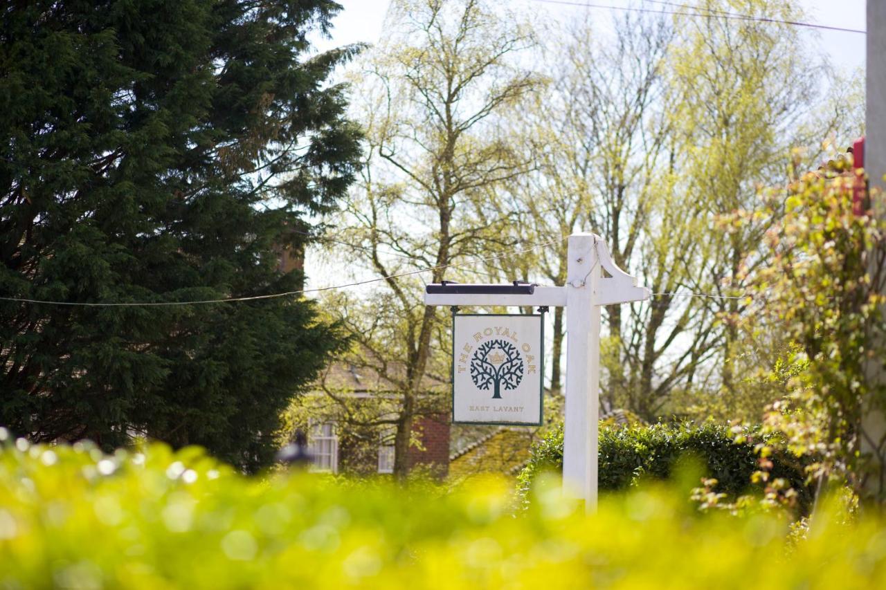 The Royal Oak Inn Chichester Exterior photo